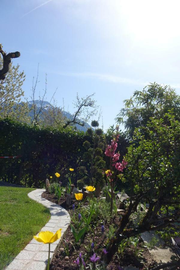 Alpen Air Exklusive Apartments Bad Reichenhall Εξωτερικό φωτογραφία